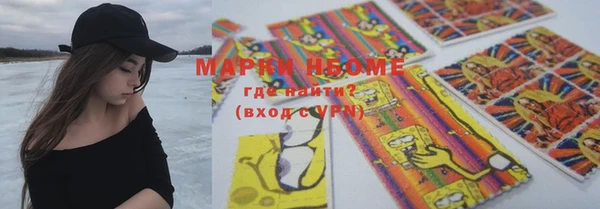 шишки Дмитровск