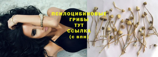 spice Дмитров