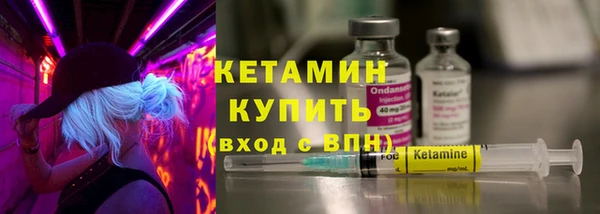 шишки Дмитровск