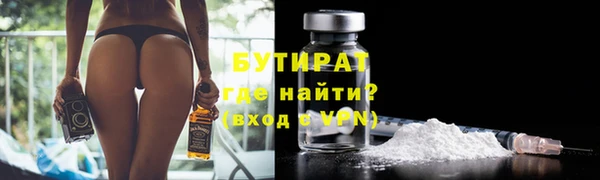 шишки Дмитровск