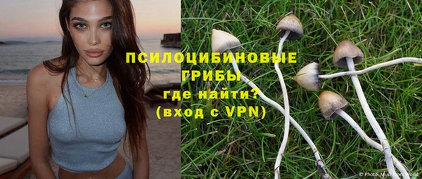 мескалин Дмитриев