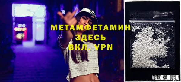 шишки Дмитровск