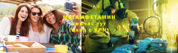 шишки Дмитровск