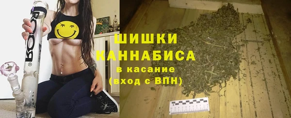 шишки Дмитровск